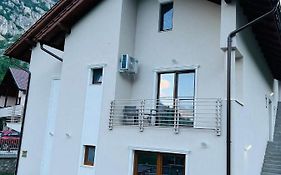 M House Băile Herculane